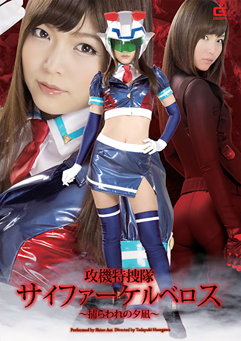 攻機特捜隊サイファーケルベロス ～捕らわれの夕凪～